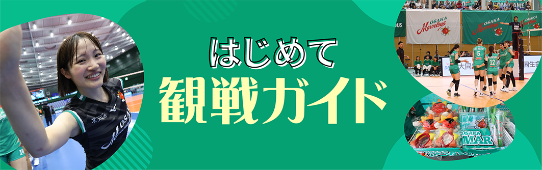 はじめて観戦ガイド